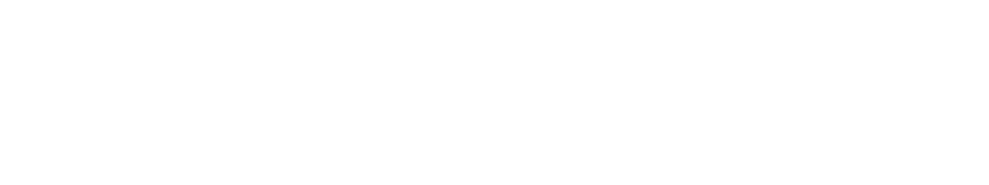 Checkpoint Systems